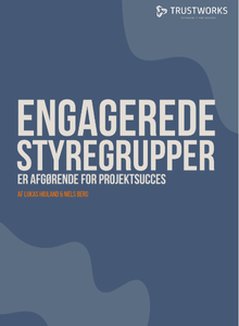 Engagerede styregrupper er afgørende for projektsucces